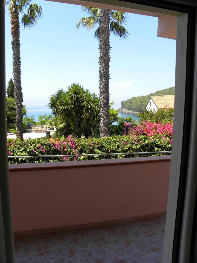 Comfortable Apartment In Maratea With Sea View 95 M² + Parking エクステリア 写真